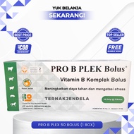 PRO B PLEX 50 BOLUS (1 BOX) - Vitamin B Complex for Animals