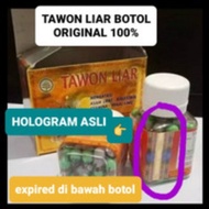 Tawon Kapsul Liar Original Asli 100 Berkualitas