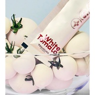 Toujours Advanced White Tomato (30 sachet)
