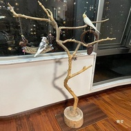 Dried Tree Branches Natural Tree Branches Artistic Dead Branches Peeled Branches Bird Stand Lamp Sta