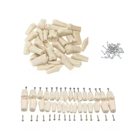 28/32pc Teeth Dental Typodont Replacement Screw-in Teeth Model Compatible with KILGORE NISSIN 200/50