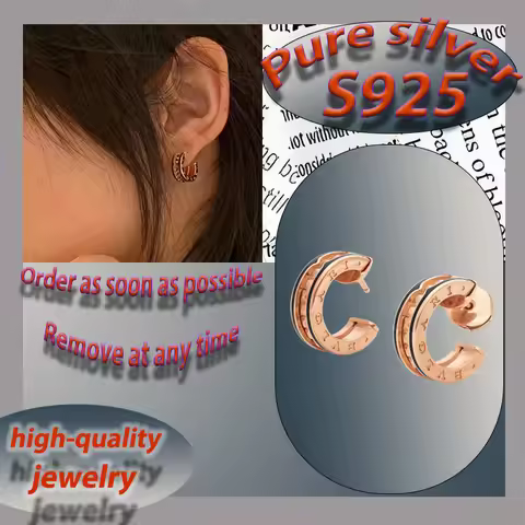 Design sense niche temperament earrings pure silver S925 light luxury high-end feeling earrings B.ze