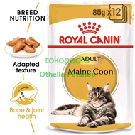 Royal Canin Adult MAINECOON 85 gr wet food