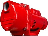 Red Lion 97101501 RL-SPRK150 44 PSI Cast Iron Self-Priming Lawn Sprinkler Pump for Residential and C