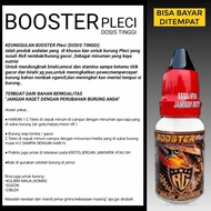 obat tetes pleci buka paruh vitamin burung pleci pleci buka paruh doping pleci dosis tinggi