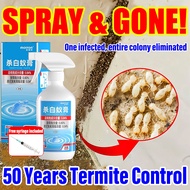 Kill Termites at the Source Termite killer spray racun anai anai rumah Anai killer spray Spray anai 