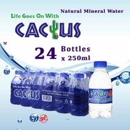 Cactus Mineral Water 250ML x 24