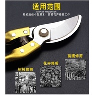 Heavy Duty Tree Pruner Scissors