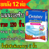 Certainty Bed Sheet แผ่นรองซับ ไซส์ L ยกลังรวม (120 แผ่น)