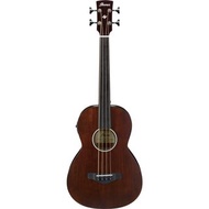 Ibanez AVNB1FE Acoustic Fretless bass