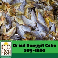 DFP Dried Fish Danggit Cebu 50g100g 250g 500g & 1kilo VACUUM SEALED
