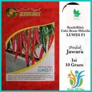 Benih Cabe Merah Besar Luwes F1 Isi 10 Gram Bibit Cabe Merah Besar