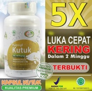 Kapsul Kutuk Premium Original Asli Obat Cina Pasca Operasi Sesar Kapsul Kutuk Albumin Ikan Gabus Ori