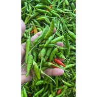 200g CIli Padi kampung lada burung cili burung