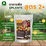 ปุ๋ย อาหารพืช 2 Qplants คิวแพลนท์ของแท้ 100% สาหร่ายฮิวมิคสูตร2 ปุ๋ยปาล์ม ปุ๋ยทุเรียน ใส่พืชเพิ่มผลผลิต (ขนาด1กิโลกรัม)