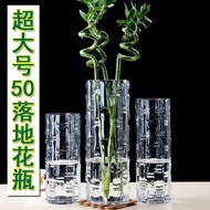 [in stock] glass vase floor vase rich bamboo transparent living room hydroponic plant flower arrangement dried flower decorations vase super thick EWTP