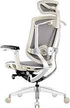 Ergonomic Office Chair Breathable Mesh Boss Chair with 5D Armrests, Sedentary Comfort Computer Chair with 3D Headrest,Adjustable Lumbar Support */1617 (Color : White, Size : No)