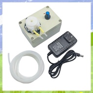 (TSMH) Adjustable Speed Peristaltic Pump 12V/24V Adjustable Speed Titration Pump Metering Pump