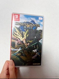 Monster Hunter Rise - switch 繁中