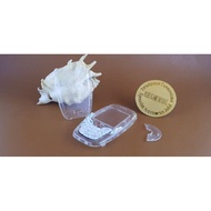 Nokia 6600 trans transparent casing BENING