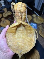 香港最可靠花膠回收商，赤嘴膠、金錢膠，上門服務，保密安全！