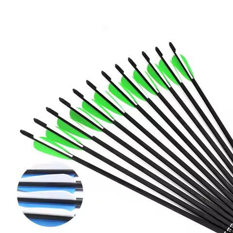 12pcs Archery Carbon Arrow 4inch Plastic Vanes Point Tips 100gr Crossbow Nocks for Crossbow Hunting 