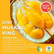 Musang King D197 Hybrid