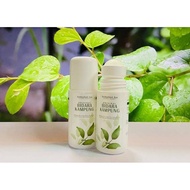 Bidara Kampung KakFel Roll On Mandian Bidadariku Bidara Asli Aromaterapi Gel Herba Sysfel Gel Roll O
