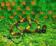 kalung kombinasi kayu bertuah liontin cemeti ali terbaik