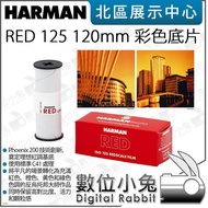 Digital Bunny [HARMAN RED 125 120mm Color Film Negative Film Special Film] C41 Film