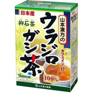 ウラジロガシ茶100%　【5g×20包】(山本漢方)