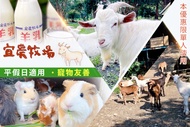 【夠麻吉X農遊超市】宜蘭宜農牧場 A.牧羊人體驗/B.牧羊人手作體驗