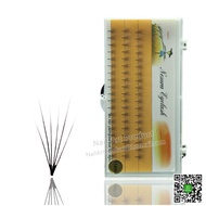 Eyelash Extension W type 6D 0.07B (1)