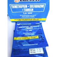 T2S 500 Water Soluble Powder 5g/sachet