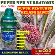 Pupuk Penyubur Akar Batang Dan Daun Kelapa Sawit NPK NURRATONIX 500ml Pupuk NPK Cair untuk Bibit Kel