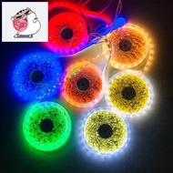 Led Strip 12V 5050 Roll 5M - Roll of Led Strip 5050 With Adhesive