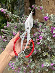 kéo cắt thực phẩm cắt xương gà GEESONG cao cấp