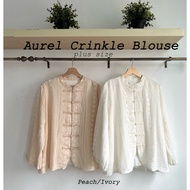 DEEROSE AUREL CRINKLE BLOUSE