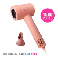 BrushLess HighSpeed Hair Dryer (FKS 003 )