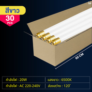 หลอดไฟยาว led 220V 40W20W18W9W ยกลัง30ชิ้น Tube ขั้วทอง แสงสีขาว หลอดนีออน led สั้น60cm หลอดยาว120cm