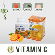 [Jejuorange] Korea JEJU Tangerine Vitamin C 济州柑橘维生素C 500g