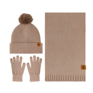 3 Pcs/Set Women Winter Hat Scarf Gloves Set Thick Knitted Ear Protection Cap Gloves Elastic Windproo