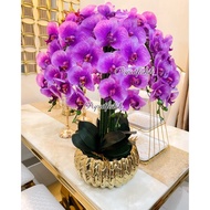Termurah! Rangkaian Bunga Anggrek Premium Jumbo Bunga Anggrek Latex