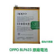 附發票【加購好禮】OPPO 歐珀 R9S Plus R9SP R9S+ 原廠電池 BLP623 