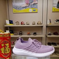 Scholl Biomechanics.