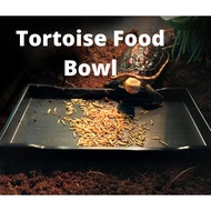 Tortoise Food Feeding Dish Water Reptile Lizard Snake Bowl Food Basin（陆龟/蜥蜴/食盆/水盆）Kura Penyu Lembangan Reptilia