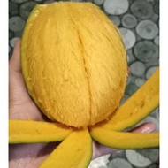 Buah Bambangan[2 biji rm20]