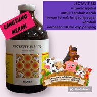 jectavit injekvit vitamin b12 tambah darah hewan ayam sapi kambing kuda babi pemerah ayam aduan jago