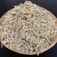 IKAN BILIS MATA BIRU HALUS PUTIH AAA