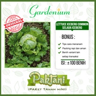 100 Benih Lettuce Iceberg Common Selada Iceberg Unggul Paktani